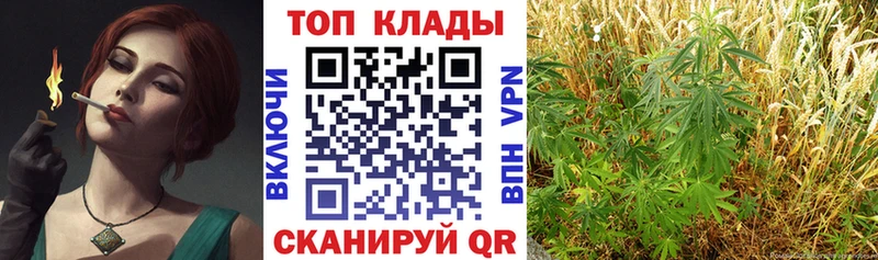 Купить Рыльск СК  Меф мяу мяу  ТГК  Бошки Шишки  Псилоцибиновые грибы 