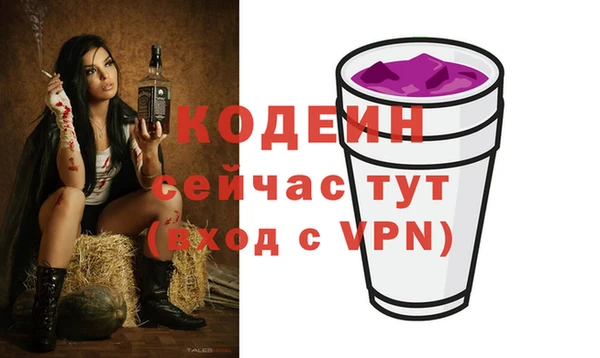 тгк Ельня