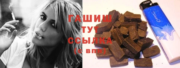 тгк Ельня