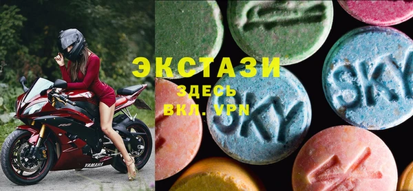 тгк Ельня