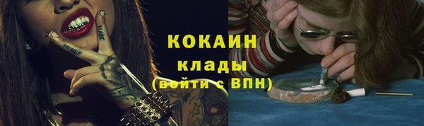 тгк Ельня