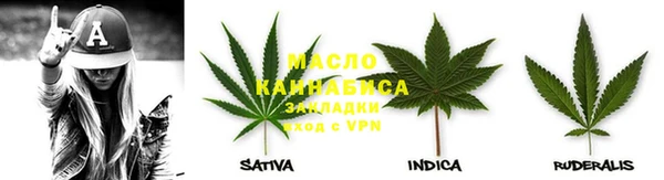 тгк Ельня