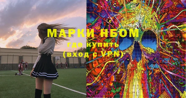 тгк Ельня