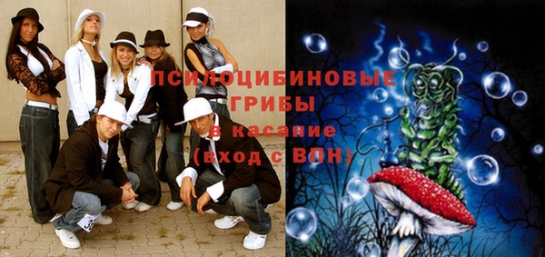 spice Елабуга