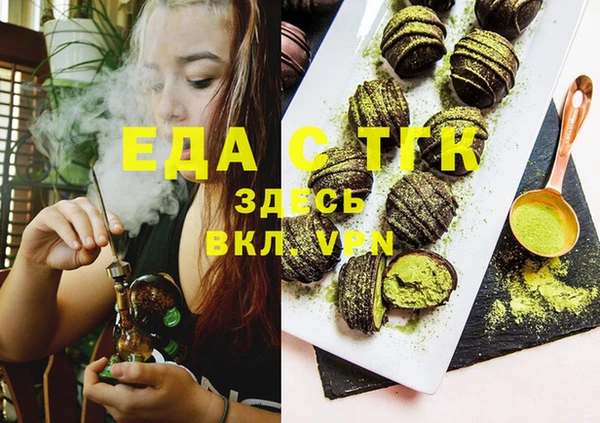 тгк Ельня