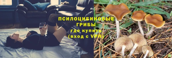 jwh Ступино