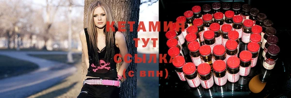 тгк Ельня