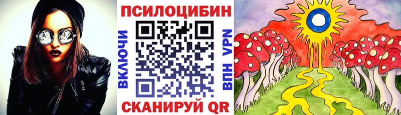 Псилоцибиновые грибы Psilocybine cubensis Рыльск